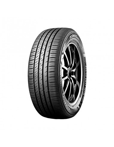 Ecowing ES31
